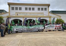La protesta concluyó en el Palacio del Vino.
