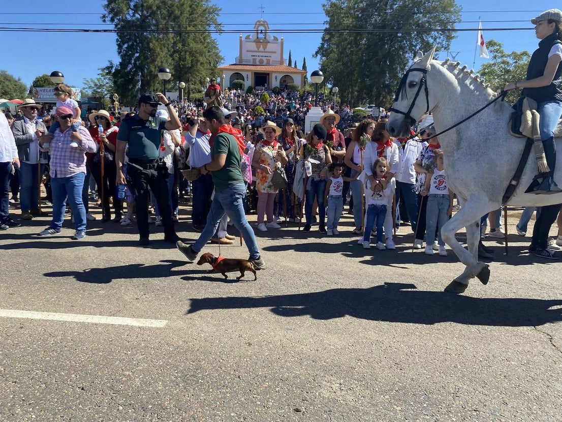 Un San Marcos multitudinario