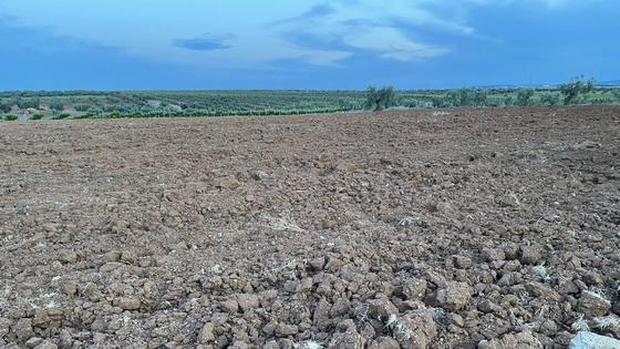La Comunidad de Labradores ve «decepcionantes» las propuestas de la Junta por la sequía