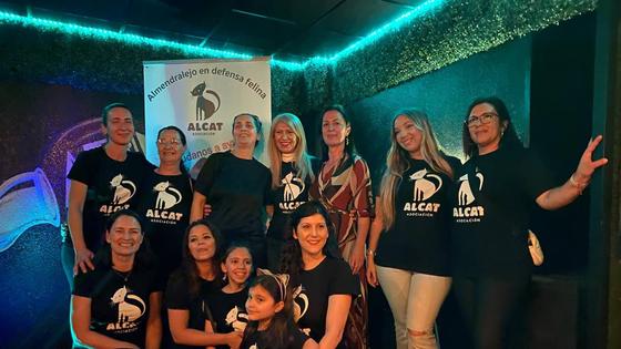 Nace una nueva asociación protectora para mejorar la vida de los gatos callejeros
