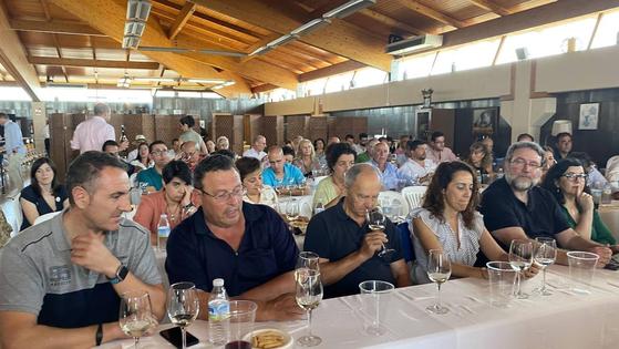 Enólogos trabajan ya en nuevas técnicas ante el cambio climático