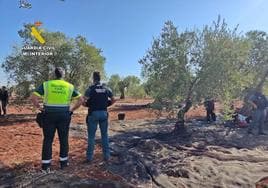 Inspección de la finca por parte de los efectivos de la Guardía Civil