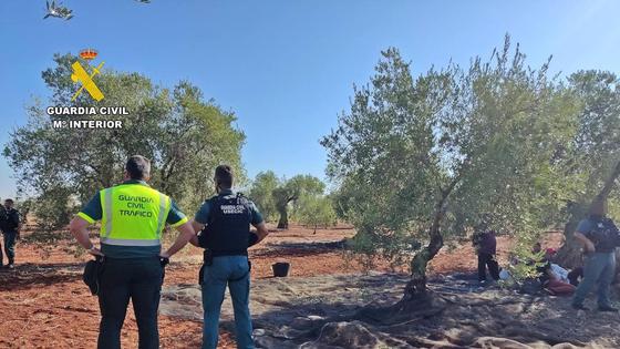 Dos vecinos de Almendralejo investigados por presunta explotación laboral