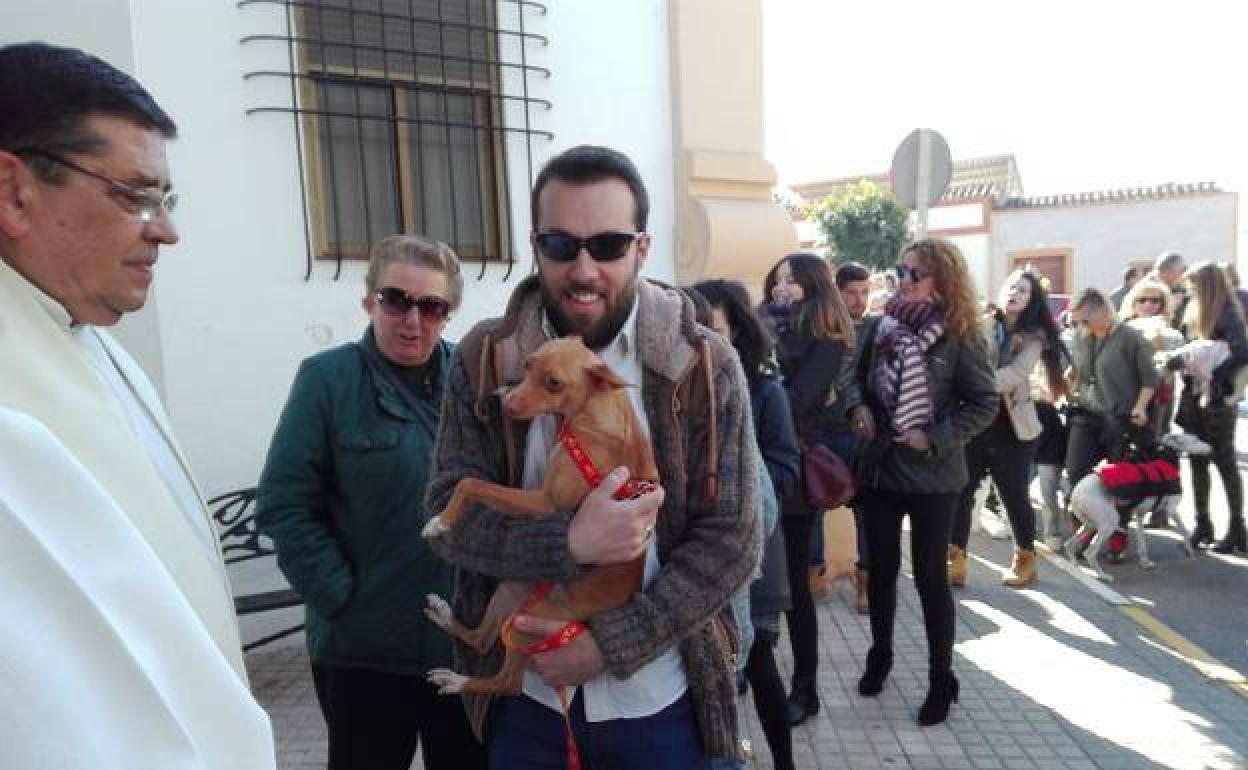 Cada año son bendecidos perros, gatos, conejos y otros animales. 