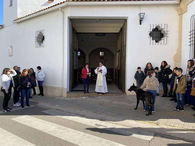Perros, gatos, pájaros y conejos pasaron por la cola para ser bendecidos