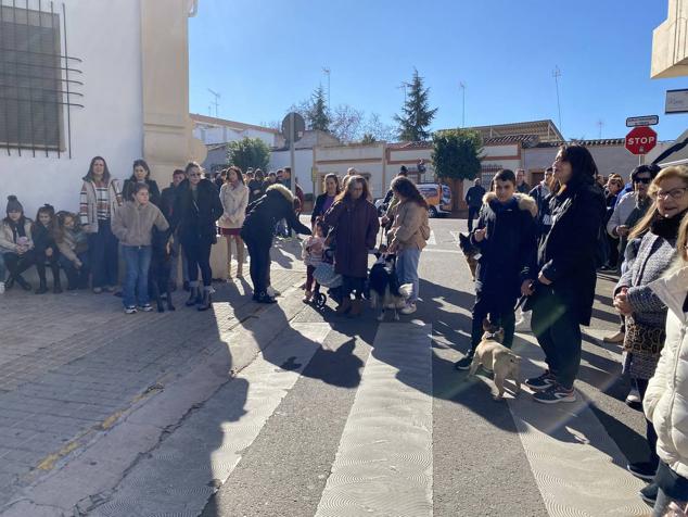 Perros, gatos, pájaros y conejos pasaron por la cola para ser bendecidos