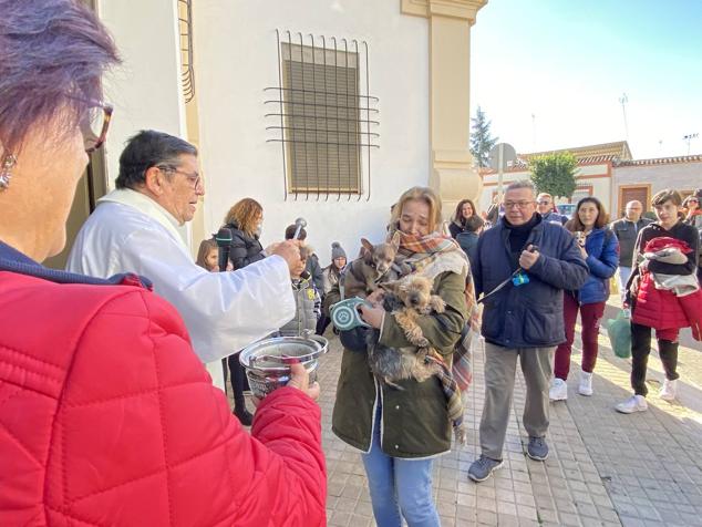 Perros, gatos, pájaros y conejos pasaron por la cola para ser bendecidos