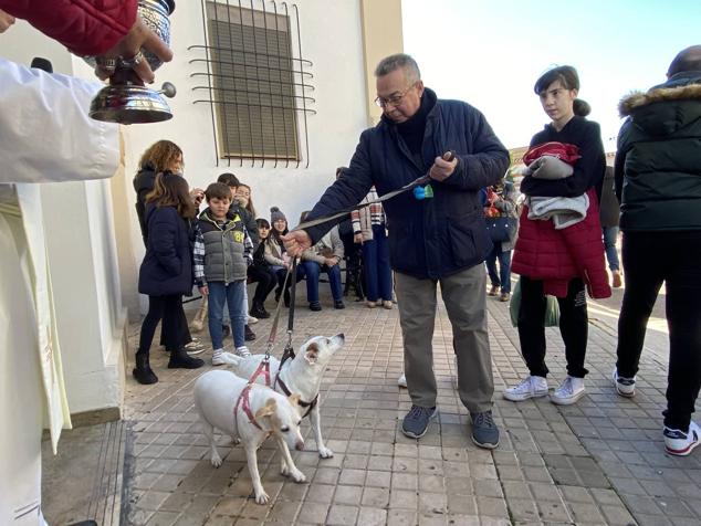 Perros, gatos, pájaros y conejos pasaron por la cola para ser bendecidos
