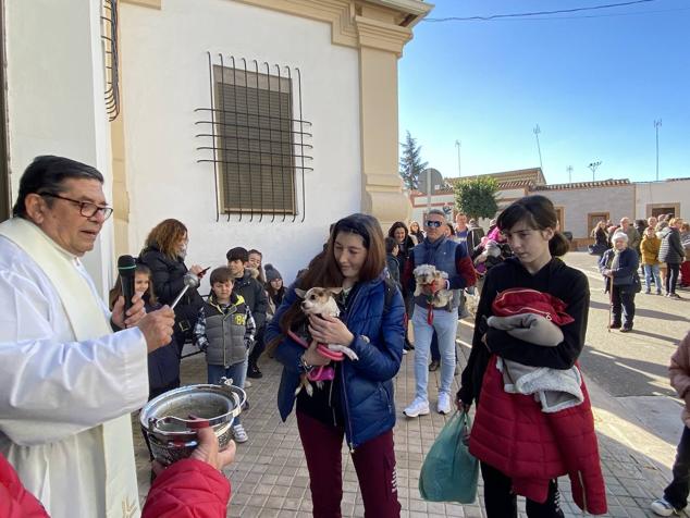 Perros, gatos, pájaros y conejos pasaron por la cola para ser bendecidos