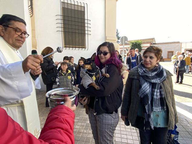 Perros, gatos, pájaros y conejos pasaron por la cola para ser bendecidos