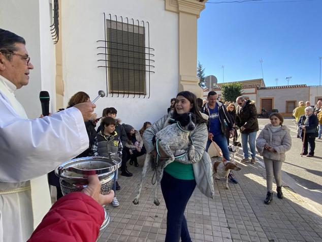 Perros, gatos, pájaros y conejos pasaron por la cola para ser bendecidos