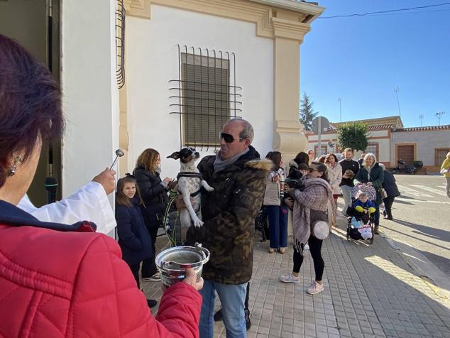 Perros, gatos, pájaros y conejos pasaron por la cola para ser bendecidos