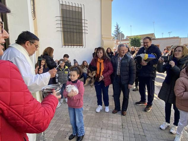 Perros, gatos, pájaros y conejos pasaron por la cola para ser bendecidos