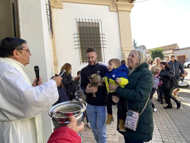 Perros, gatos, pájaros y conejos pasaron por la cola para ser bendecidos