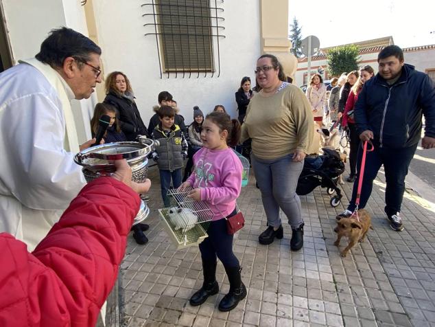 Perros, gatos, pájaros y conejos pasaron por la cola para ser bendecidos
