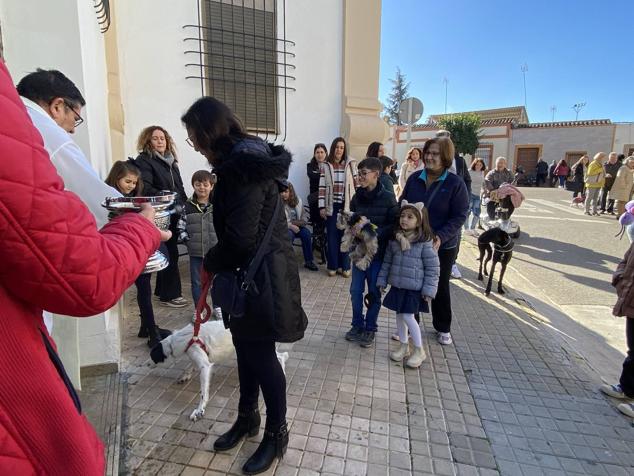Perros, gatos, pájaros y conejos pasaron por la cola para ser bendecidos