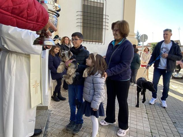 Perros, gatos, pájaros y conejos pasaron por la cola para ser bendecidos