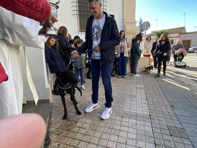 Perros, gatos, pájaros y conejos pasaron por la cola para ser bendecidos