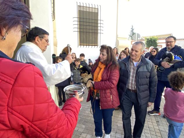 Perros, gatos, pájaros y conejos pasaron por la cola para ser bendecidos