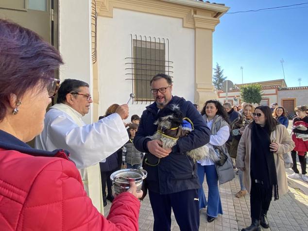 Perros, gatos, pájaros y conejos pasaron por la cola para ser bendecidos