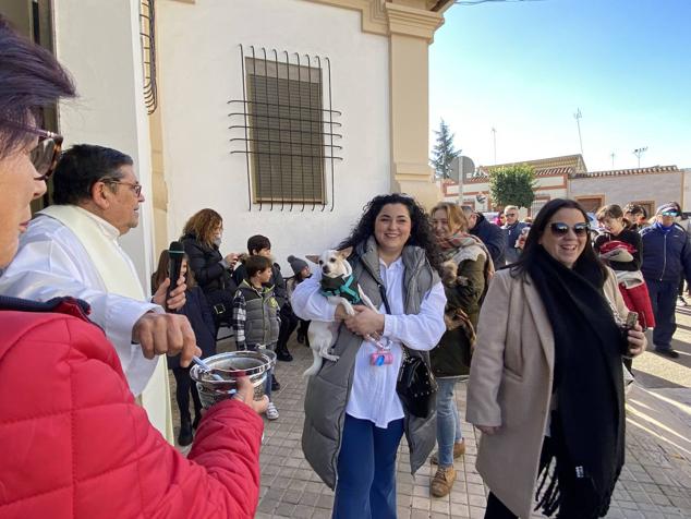 Perros, gatos, pájaros y conejos pasaron por la cola para ser bendecidos