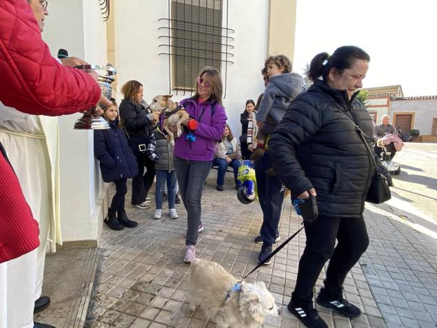 Perros, gatos, pájaros y conejos pasaron por la cola para ser bendecidos