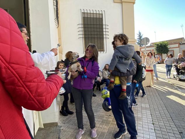 Perros, gatos, pájaros y conejos pasaron por la cola para ser bendecidos