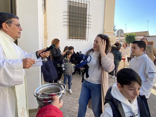 Perros, gatos, pájaros y conejos pasaron por la cola para ser bendecidos