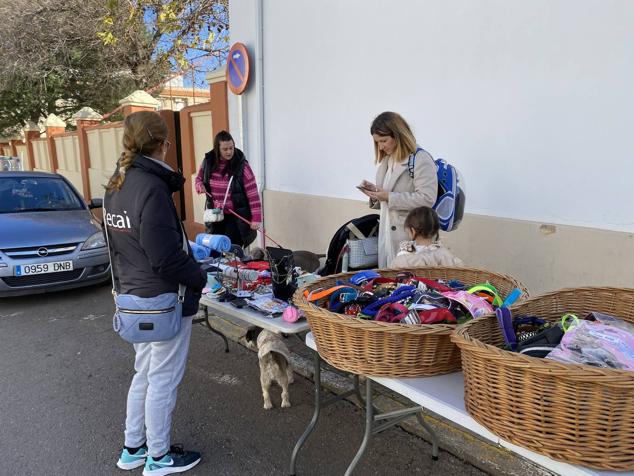 Perros, gatos, pájaros y conejos pasaron por la cola para ser bendecidos