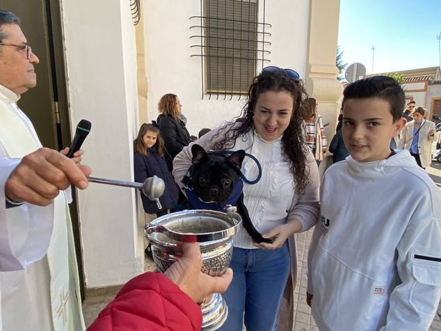 Perros, gatos, pájaros y conejos pasaron por la cola para ser bendecidos