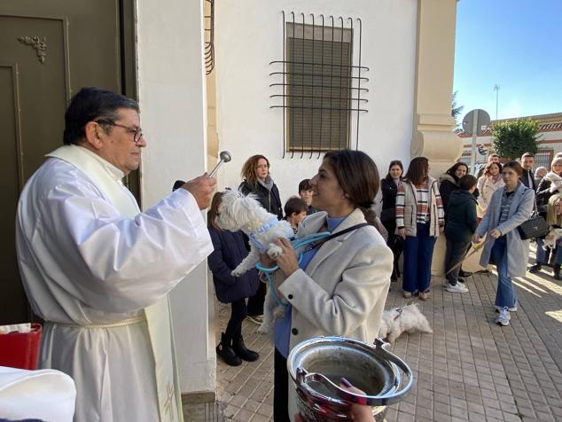 Perros, gatos, pájaros y conejos pasaron por la cola para ser bendecidos