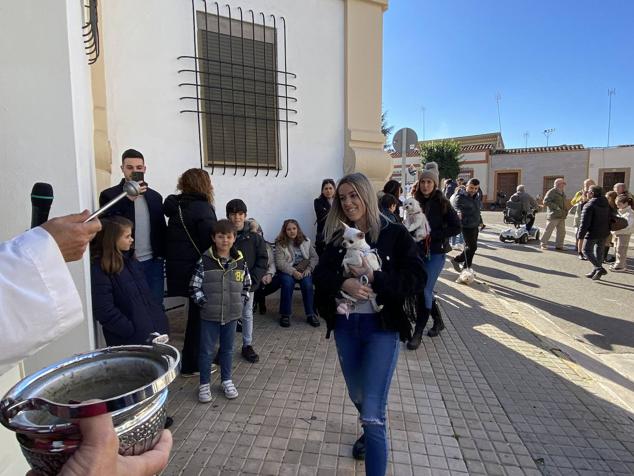 Perros, gatos, pájaros y conejos pasaron por la cola para ser bendecidos