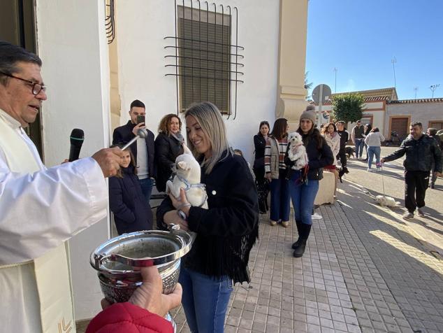 Perros, gatos, pájaros y conejos pasaron por la cola para ser bendecidos