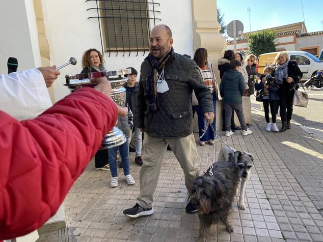 Perros, gatos, pájaros y conejos pasaron por la cola para ser bendecidos