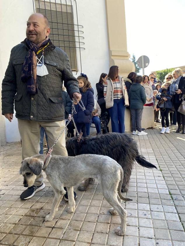 Perros, gatos, pájaros y conejos pasaron por la cola para ser bendecidos