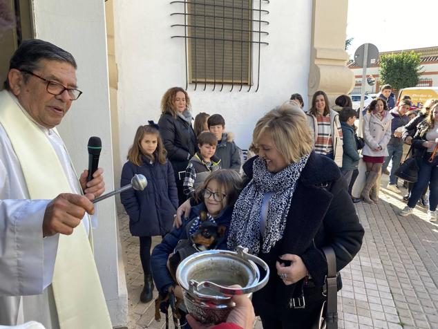 Perros, gatos, pájaros y conejos pasaron por la cola para ser bendecidos