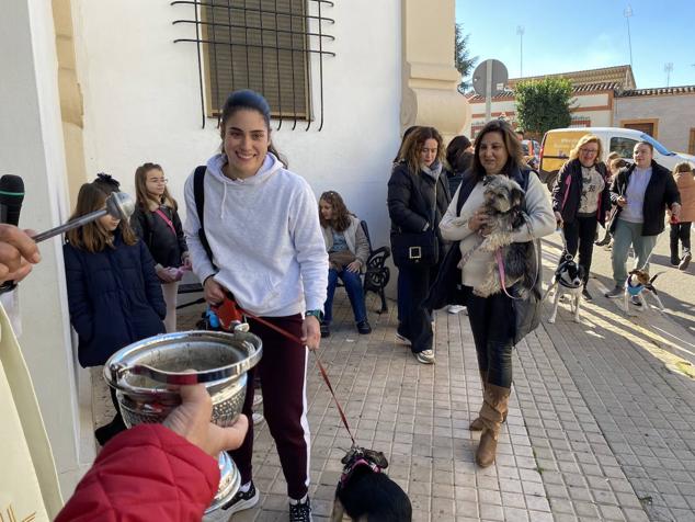 Perros, gatos, pájaros y conejos pasaron por la cola para ser bendecidos