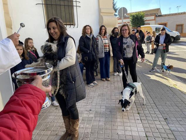Perros, gatos, pájaros y conejos pasaron por la cola para ser bendecidos