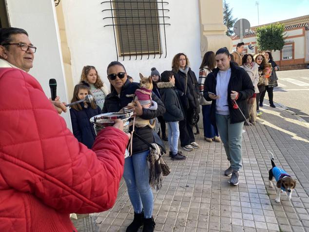 Perros, gatos, pájaros y conejos pasaron por la cola para ser bendecidos