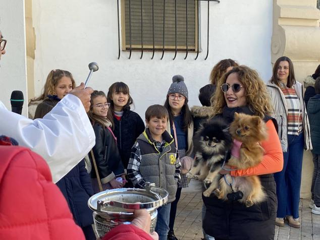 Perros, gatos, pájaros y conejos pasaron por la cola para ser bendecidos