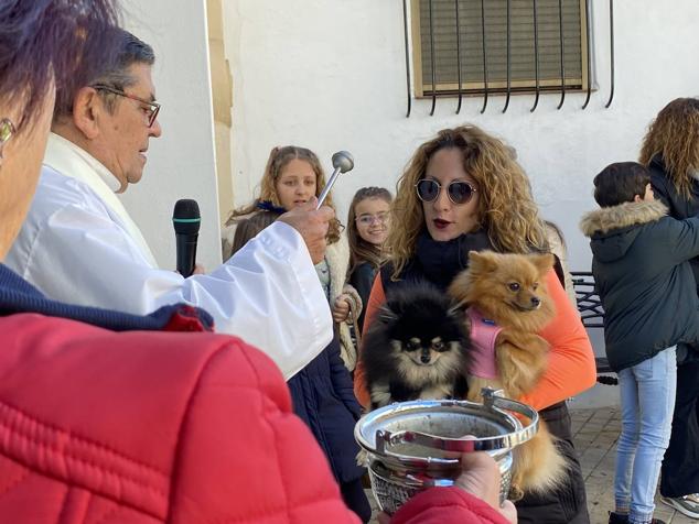Perros, gatos, pájaros y conejos pasaron por la cola para ser bendecidos