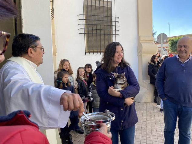 Perros, gatos, pájaros y conejos pasaron por la cola para ser bendecidos