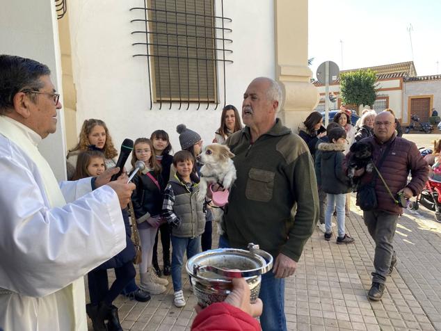 Perros, gatos, pájaros y conejos pasaron por la cola para ser bendecidos