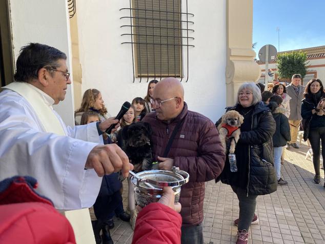 Perros, gatos, pájaros y conejos pasaron por la cola para ser bendecidos