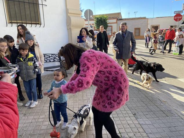 Perros, gatos, pájaros y conejos pasaron por la cola para ser bendecidos