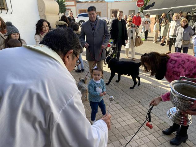 Perros, gatos, pájaros y conejos pasaron por la cola para ser bendecidos