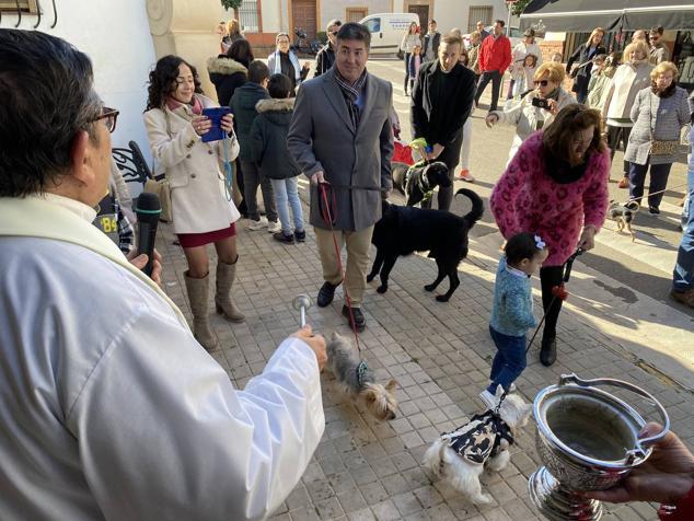 Perros, gatos, pájaros y conejos pasaron por la cola para ser bendecidos