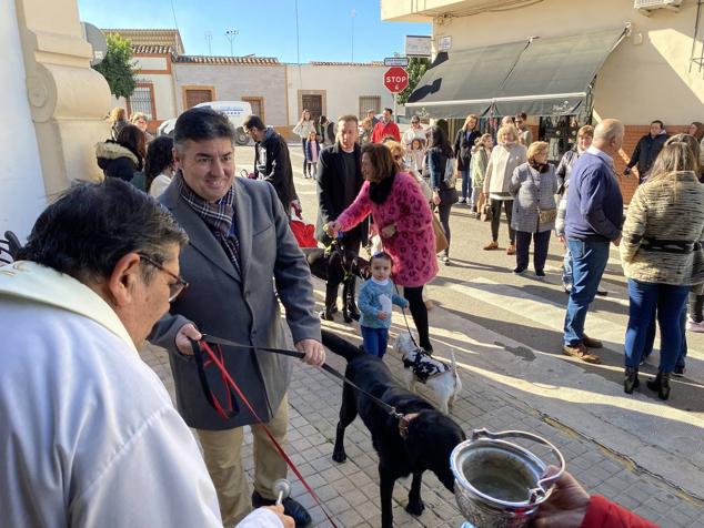 Perros, gatos, pájaros y conejos pasaron por la cola para ser bendecidos
