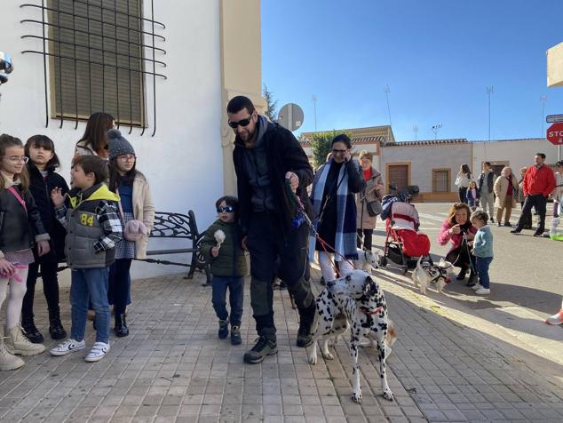 Perros, gatos, pájaros y conejos pasaron por la cola para ser bendecidos