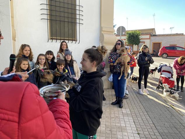 Perros, gatos, pájaros y conejos pasaron por la cola para ser bendecidos